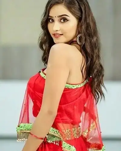 Call Girls Service Lakdikapool